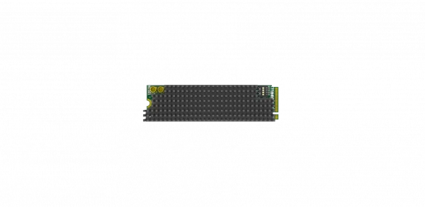 Eco Capture  SDI 4K Plus  M.2