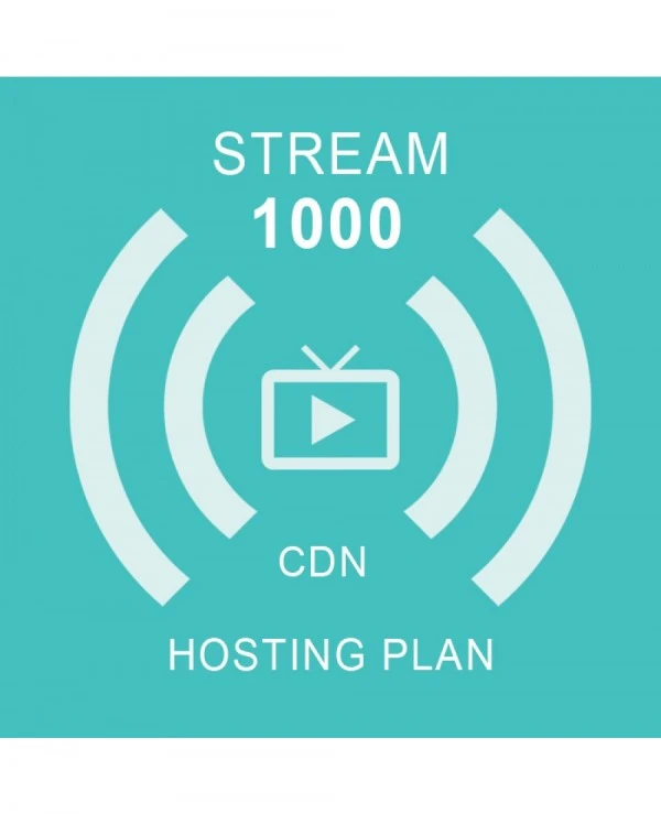 Stream 1000 GB (12 meseci)